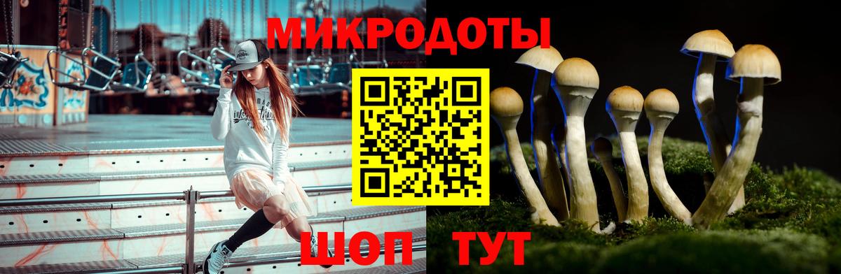 Тайшет  Галлюциногенные грибы GOLDEN TEACHER  Галлюциногенные грибы мицелий  Вход с VPN 